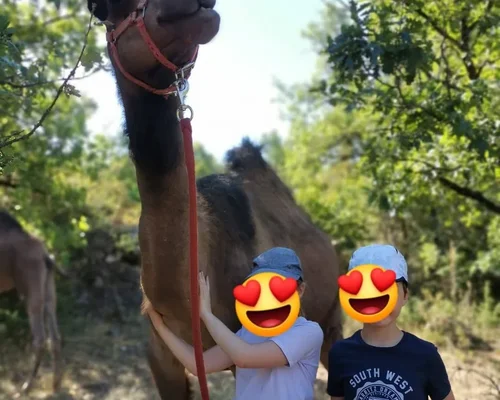 Parc Le Theil dans l'Hérault : devenez soigneur d'un jour