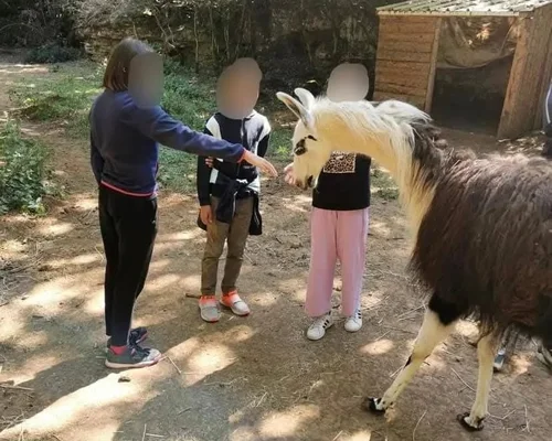 Parc Le Theil dans l'Hérault : devenez soigneur d'un jour