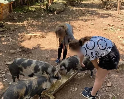 Parc Le Theil dans l'Hérault : devenez soigneur d'un jour