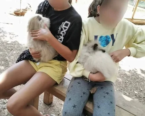 Parc Le Theil dans l'Hérault : devenez soigneur d'un jour