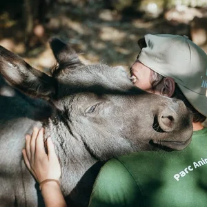 Animaux domestiques du monde entier sur le plateau du Larzac au Parc Le Theil 