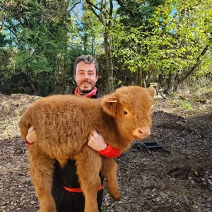 Animaux domestiques du monde entier sur le plateau du Larzac au Parc Le Theil 
